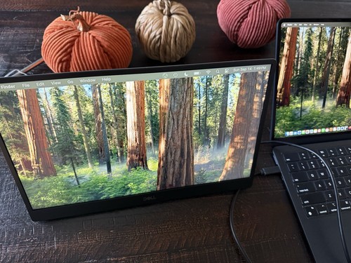 Dell p1424h 1080p fhd - dell,